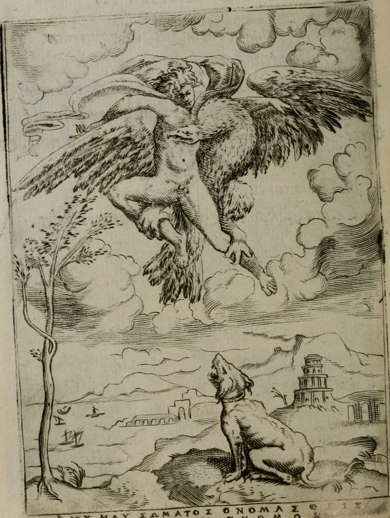 An illustration from Achillis Bocchii Bonon. Symbolicarum quaestionum, de vniuerso genere, quas serio ludebat, libri quinque, 1574, leaf 217