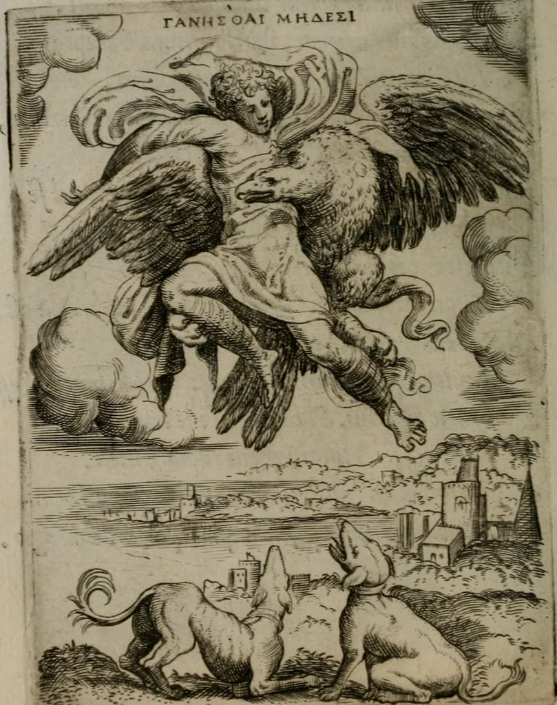 An illustration from Achillis Bocchii Bonon. Symbolicarum quaestionum, de vniuerso genere, quas serio ludebat, libri quinque, 1574, leaf 219