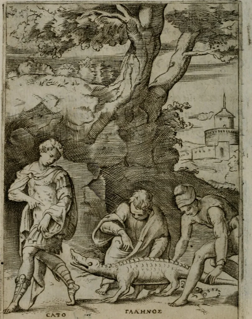 An illustration from Achillis Bocchii Bonon. Symbolicarum quaestionum, de vniuerso genere, quas serio ludebat, libri quinque, 1574, leaf 261