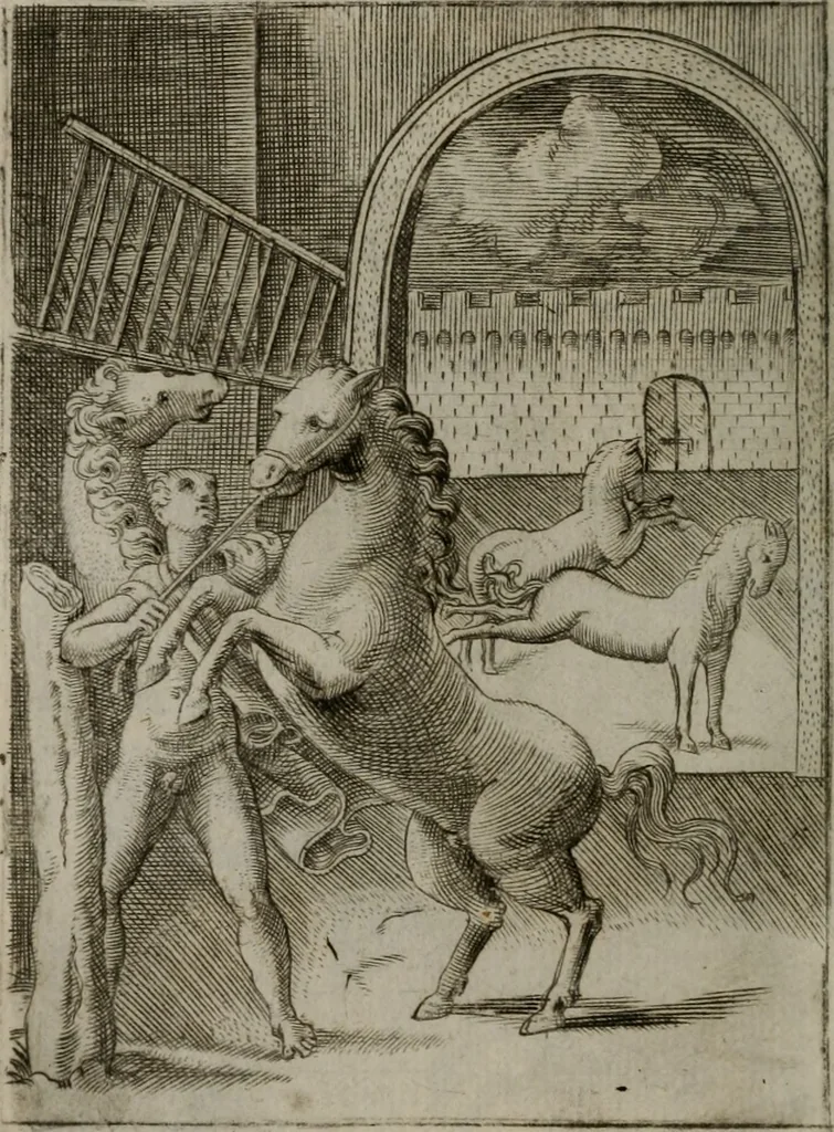 An illustration from Achillis Bocchii Bonon. Symbolicarum quaestionum, de vniuerso genere, quas serio ludebat, libri quinque, 1574, leaf 297