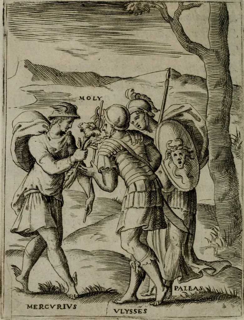 An illustration from Achillis Bocchii Bonon. Symbolicarum quaestionum, de vniuerso genere, quas serio ludebat, libri quinque, 1574, leaf 331