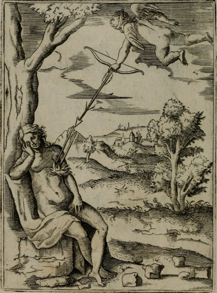 An illustration from Achillis Bocchii Bonon. Symbolicarum quaestionum, de vniuerso genere, quas serio ludebat, libri quinque, 1574, leaf 69