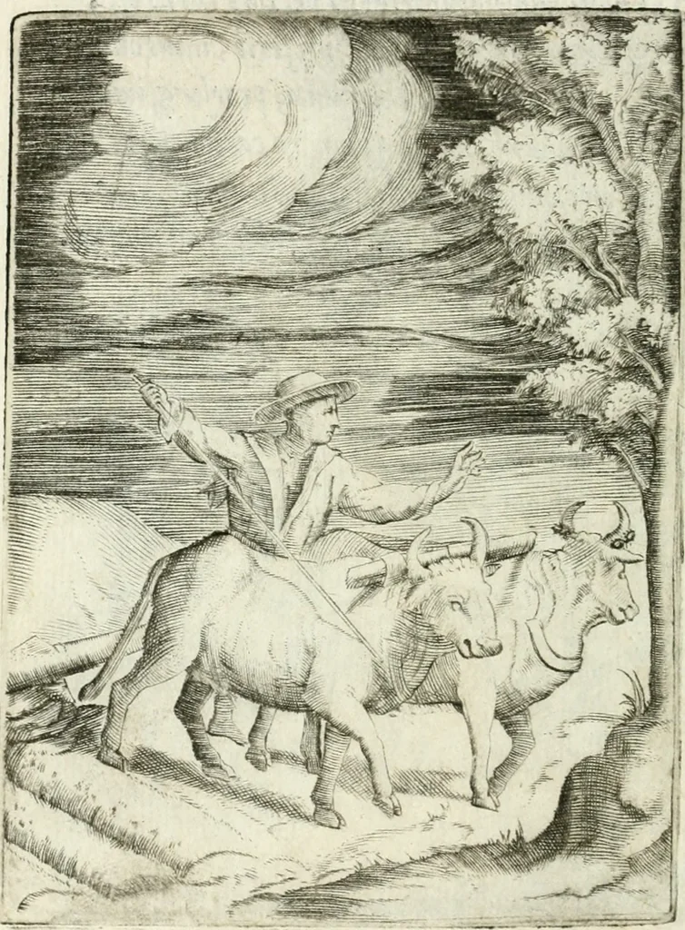 An illustration from Achillis Bocchii bonon. Symbolicarvm qvaestionvm de vniuerso genere, quas serio ludebat, libri qvinqve, 1574, leaf 137