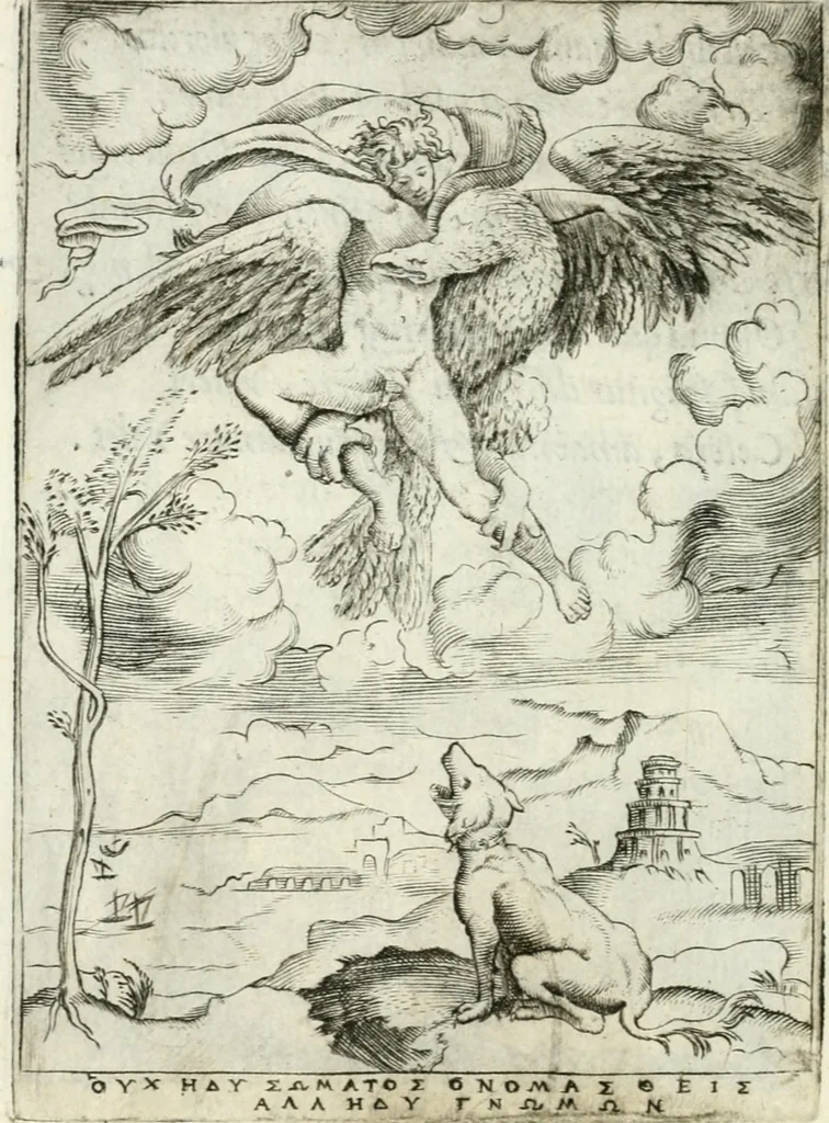 An illustration from Achillis Bocchii bonon. Symbolicarvm qvaestionvm de vniuerso genere, quas serio ludebat, libri qvinqve, 1574, leaf 221