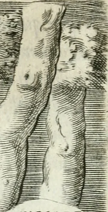 An illustration from Achillis Bocchii bonon. Symbolicarvm qvaestionvm de vniuerso genere, quas serio ludebat, libri qvinqve, 1574, leaf 225