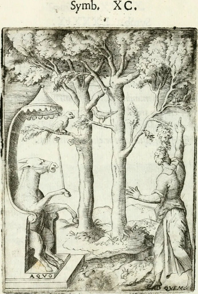 An illustration from Achillis Bocchii bonon. Symbolicarvm qvaestionvm de vniuerso genere, quas serio ludebat, libri qvinqve, 1574, leaf 245