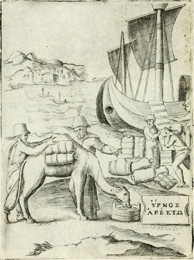 An illustration from Achillis Bocchii bonon. Symbolicarvm qvaestionvm de vniuerso genere, quas serio ludebat, libri qvinqve, 1574, leaf 257