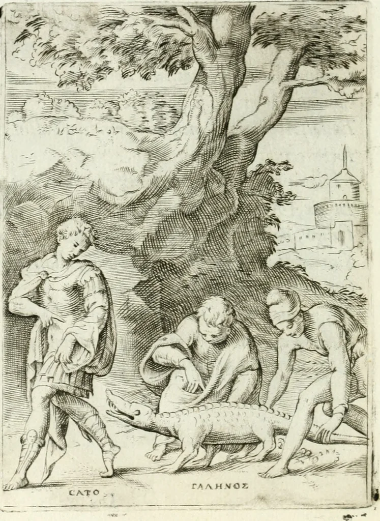 An illustration from Achillis Bocchii bonon. Symbolicarvm qvaestionvm de vniuerso genere, quas serio ludebat, libri qvinqve, 1574, leaf 265