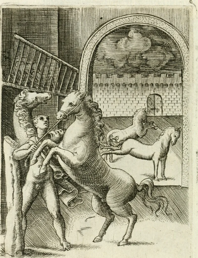 An illustration from Achillis Bocchii bonon. Symbolicarvm qvaestionvm de vniuerso genere, quas serio ludebat, libri qvinqve, 1574, leaf 301