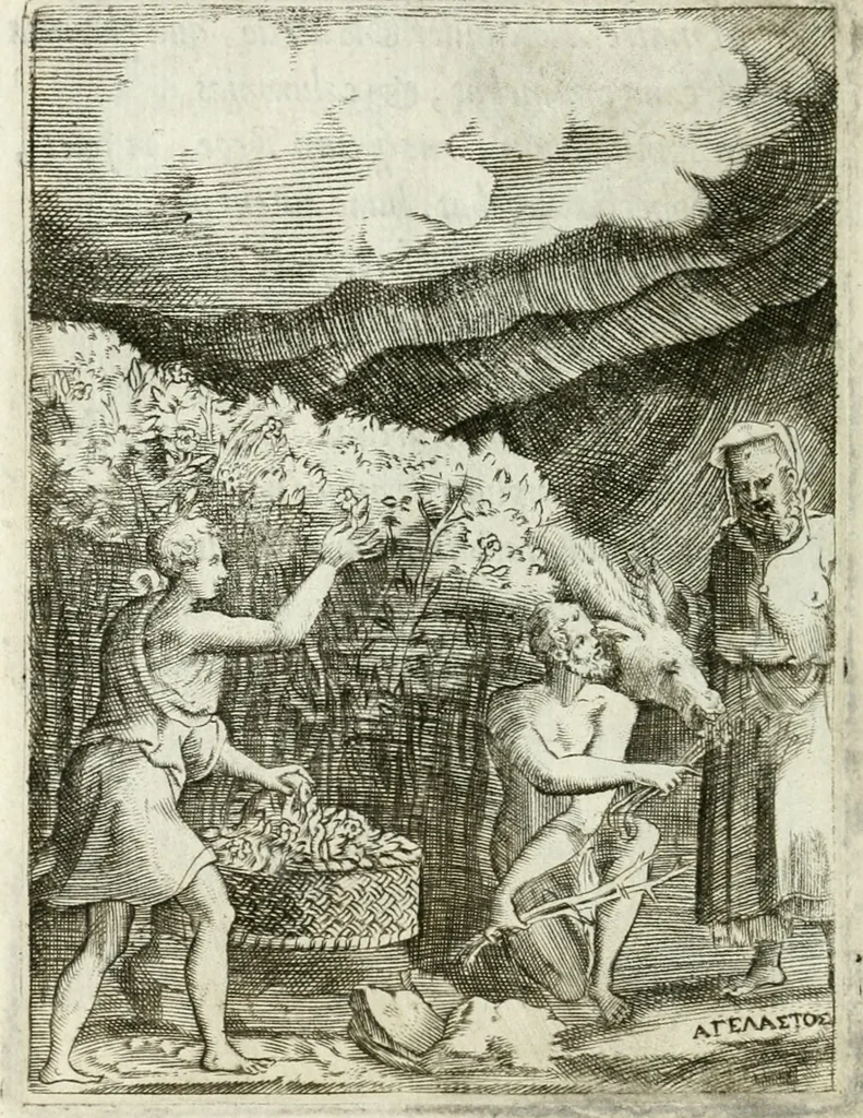 An illustration from Achillis Bocchii bonon. Symbolicarvm qvaestionvm de vniuerso genere, quas serio ludebat, libri qvinqve, 1574, leaf 307