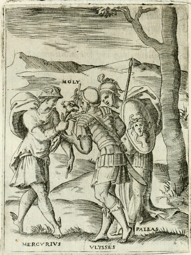 An illustration from Achillis Bocchii bonon. Symbolicarvm qvaestionvm de vniuerso genere, quas serio ludebat, libri qvinqve, 1574, leaf 335