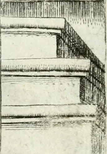 An illustration from Achillis Bocchii bonon. Symbolicarvm qvaestionvm de vniuerso genere, quas serio ludebat, libri qvinqve, 1574, leaf 373