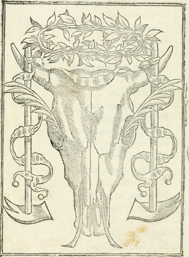 An illustration from Achillis Bocchii bonon. Symbolicarvm qvaestionvm de vniuerso genere, quas serio ludebat, libri qvinqve, 1574, leaf 55