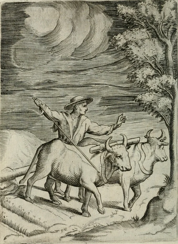 An illustration from Achillis Bocchii Bonon. Symbolicarum quaestionum, de vniuerso genere, quas serio ludebat, libri quinque, 1574, leaf 137