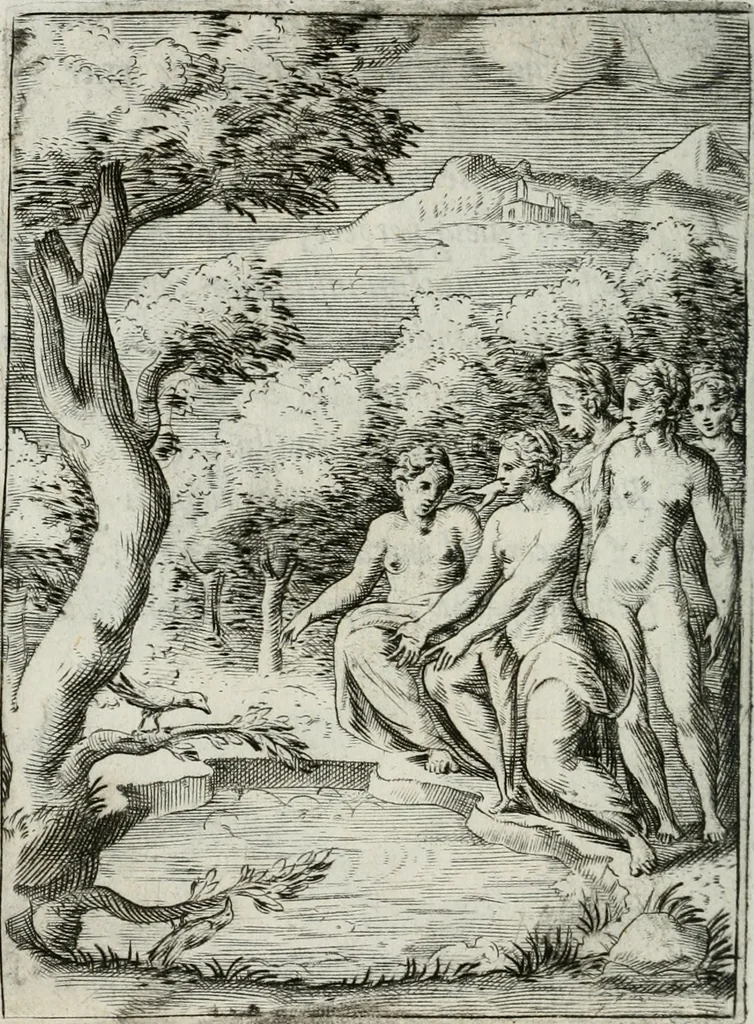 An illustration from Achillis Bocchii Bonon. Symbolicarum quaestionum, de vniuerso genere, quas serio ludebat, libri quinque, 1574, leaf 241