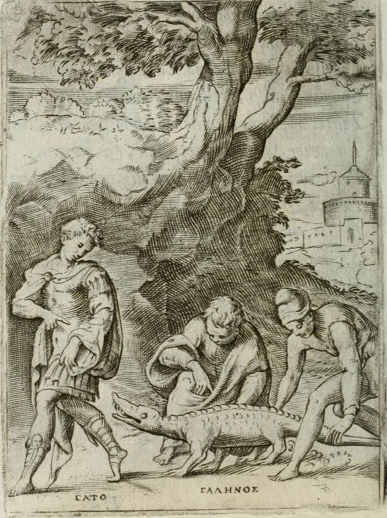 An illustration from Achillis Bocchii Bonon. Symbolicarum quaestionum, de vniuerso genere, quas serio ludebat, libri quinque, 1574, leaf 265