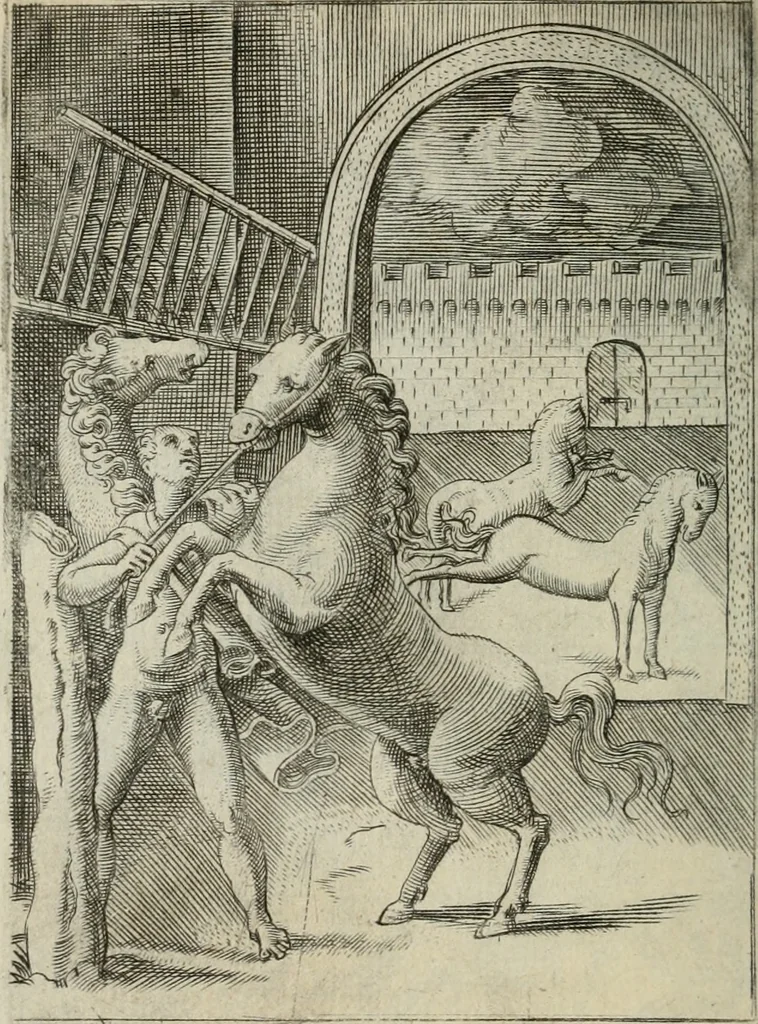 An illustration from Achillis Bocchii Bonon. Symbolicarum quaestionum, de vniuerso genere, quas serio ludebat, libri quinque, 1574, leaf 301