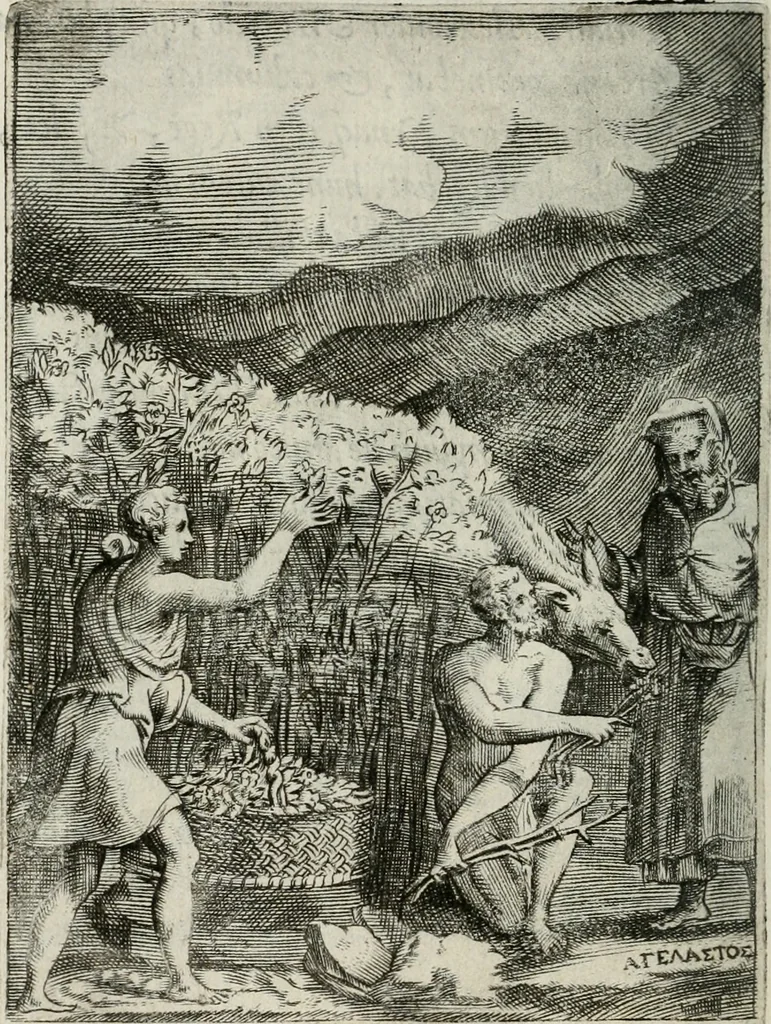 An illustration from Achillis Bocchii Bonon. Symbolicarum quaestionum, de vniuerso genere, quas serio ludebat, libri quinque, 1574, leaf 307