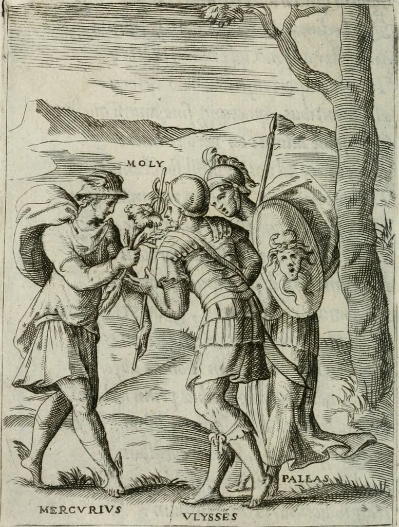 An illustration from Achillis Bocchii Bonon. Symbolicarum quaestionum, de vniuerso genere, quas serio ludebat, libri quinque, 1574, leaf 335
