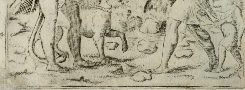 An illustration from Achillis Bocchii Bonon. Symbolicarum quaestionum, de vniuerso genere, quas serio ludebat, libri quinque, 1574, leaf 77
