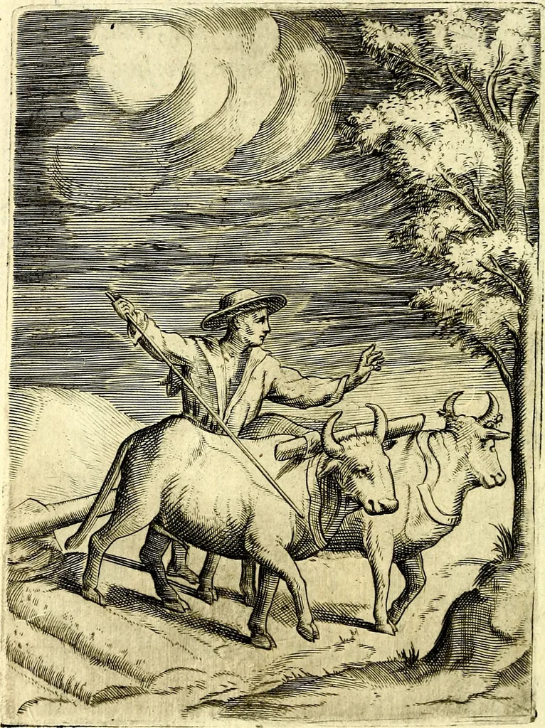 An illustration from Achillis Bocchii Bonon. Symbolicarvm qvaestionvm, de vniverso genere, quas serio ludebat, libri qvinqve, 1574, leaf 129