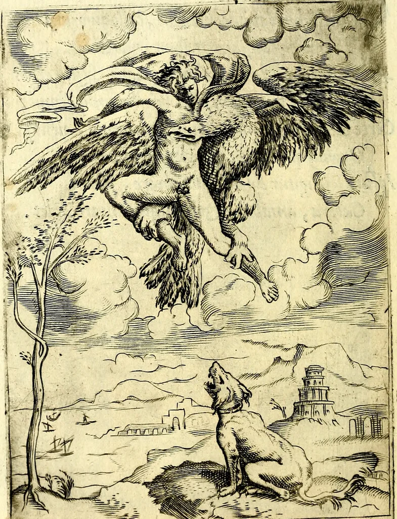 An illustration from Achillis Bocchii Bonon. Symbolicarvm qvaestionvm, de vniverso genere, quas serio ludebat, libri qvinqve, 1574, leaf 213
