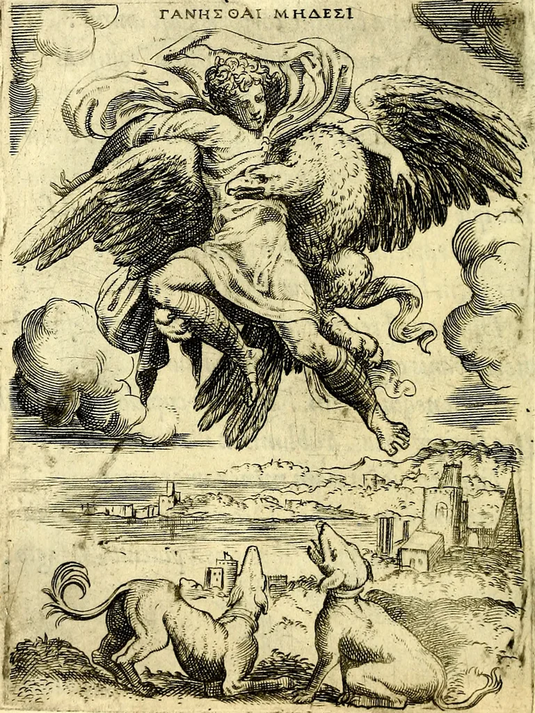 An illustration from Achillis Bocchii Bonon. Symbolicarvm qvaestionvm, de vniverso genere, quas serio ludebat, libri qvinqve, 1574, leaf 215