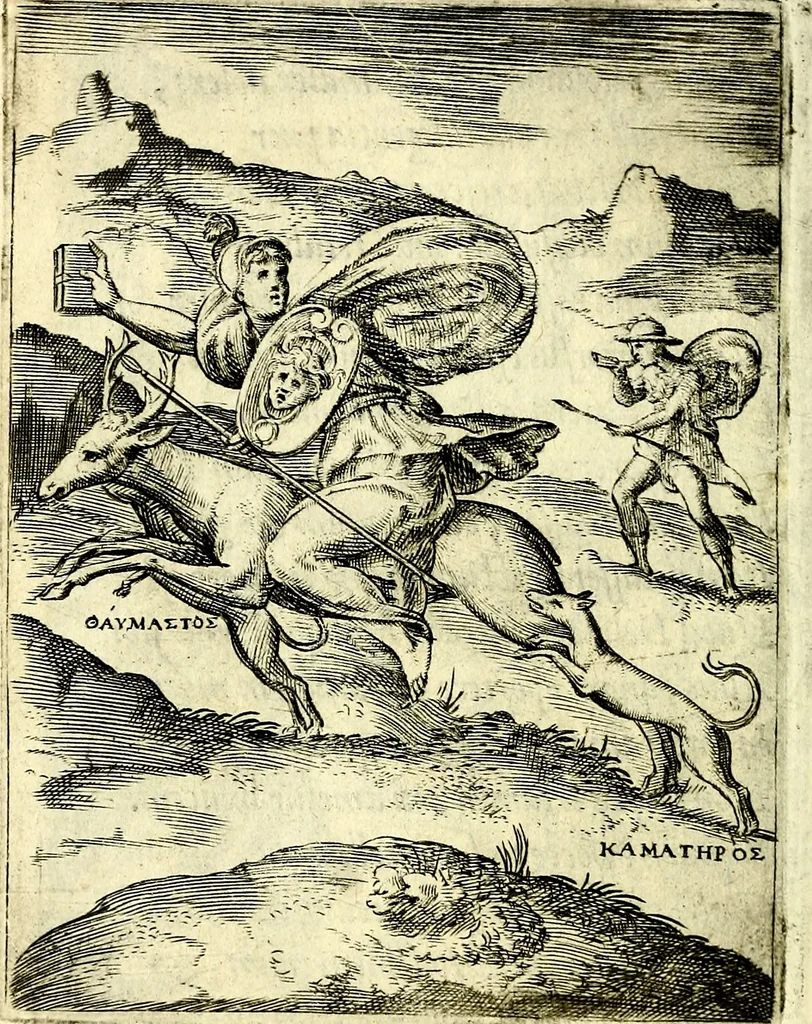 An illustration from Achillis Bocchii Bonon. Symbolicarvm qvaestionvm, de vniverso genere, quas serio ludebat, libri qvinqve, 1574, leaf 219