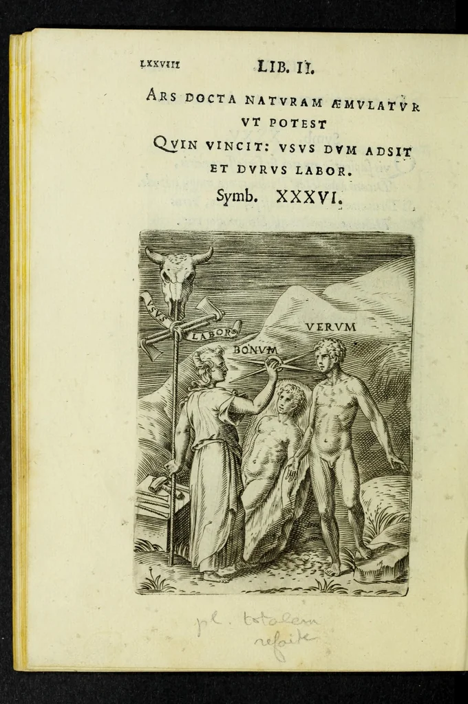 An illustration from Achillis Bocchii Bonon. Symbolicarvm qvaestionvm, de vniverso genere, quas serio ludebat, libri qvinqve, 1574, leaf 130