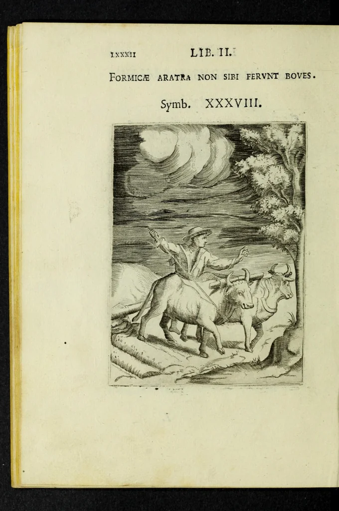 An illustration from Achillis Bocchii Bonon. Symbolicarvm qvaestionvm, de vniverso genere, quas serio ludebat, libri qvinqve, 1574, leaf 134