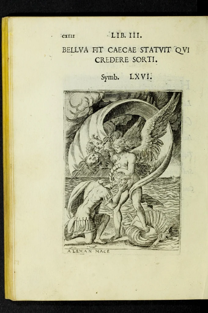 An illustration from Achillis Bocchii Bonon. Symbolicarvm qvaestionvm, de vniverso genere, quas serio ludebat, libri qvinqve, 1574, leaf 196