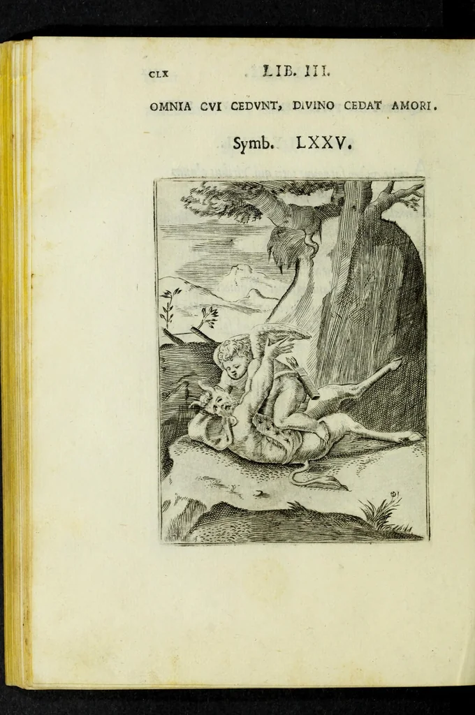 An illustration from Achillis Bocchii Bonon. Symbolicarvm qvaestionvm, de vniverso genere, quas serio ludebat, libri qvinqve, 1574, leaf 214