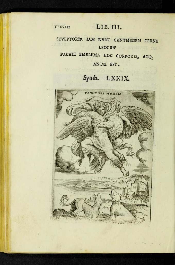 An illustration from Achillis Bocchii Bonon. Symbolicarvm qvaestionvm, de vniverso genere, quas serio ludebat, libri qvinqve, 1574, leaf 222