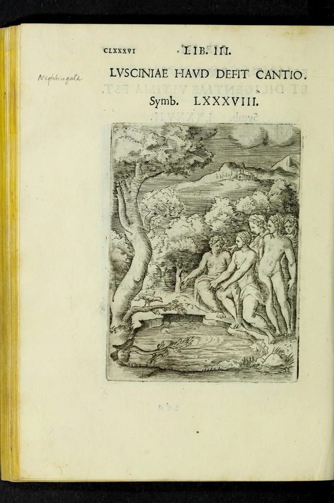 An illustration from Achillis Bocchii Bonon. Symbolicarvm qvaestionvm, de vniverso genere, quas serio ludebat, libri qvinqve, 1574, leaf 240