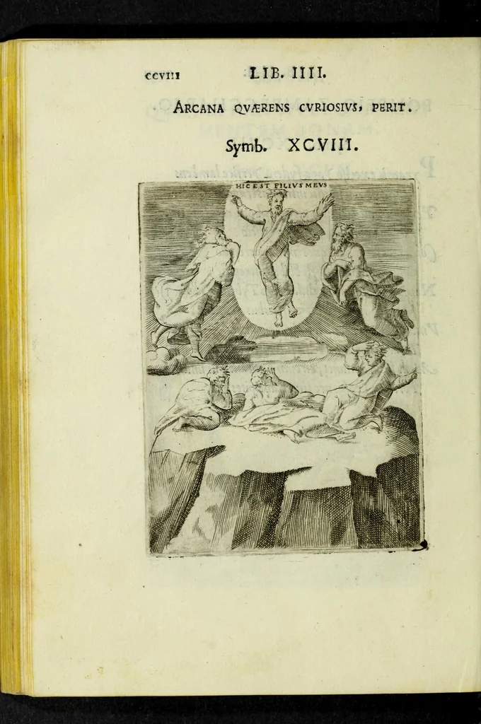 An illustration from Achillis Bocchii Bonon. Symbolicarvm qvaestionvm, de vniverso genere, quas serio ludebat, libri qvinqve, 1574, leaf 262