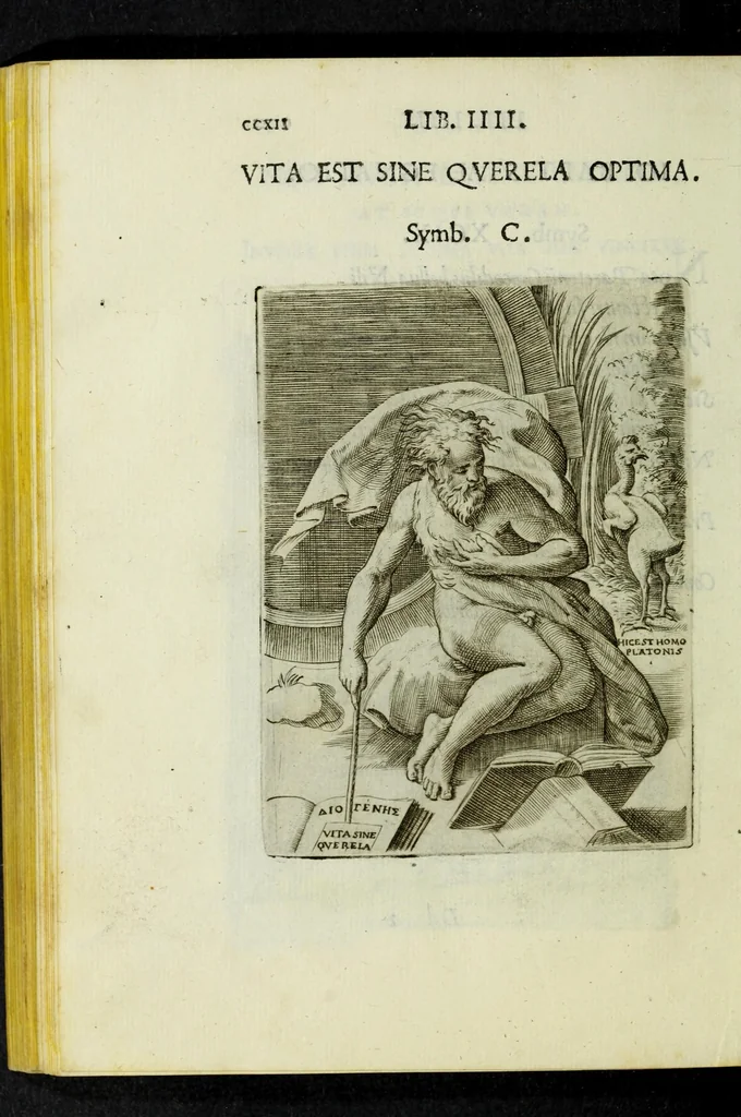 An illustration from Achillis Bocchii Bonon. Symbolicarvm qvaestionvm, de vniverso genere, quas serio ludebat, libri qvinqve, 1574, leaf 266