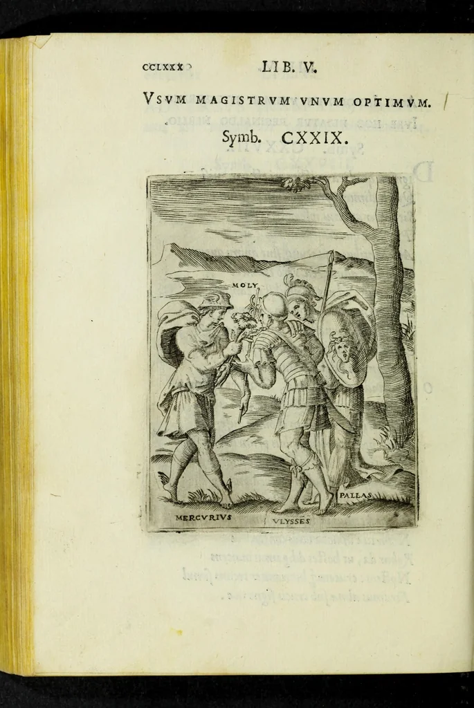 An illustration from Achillis Bocchii Bonon. Symbolicarvm qvaestionvm, de vniverso genere, quas serio ludebat, libri qvinqve, 1574, leaf 334