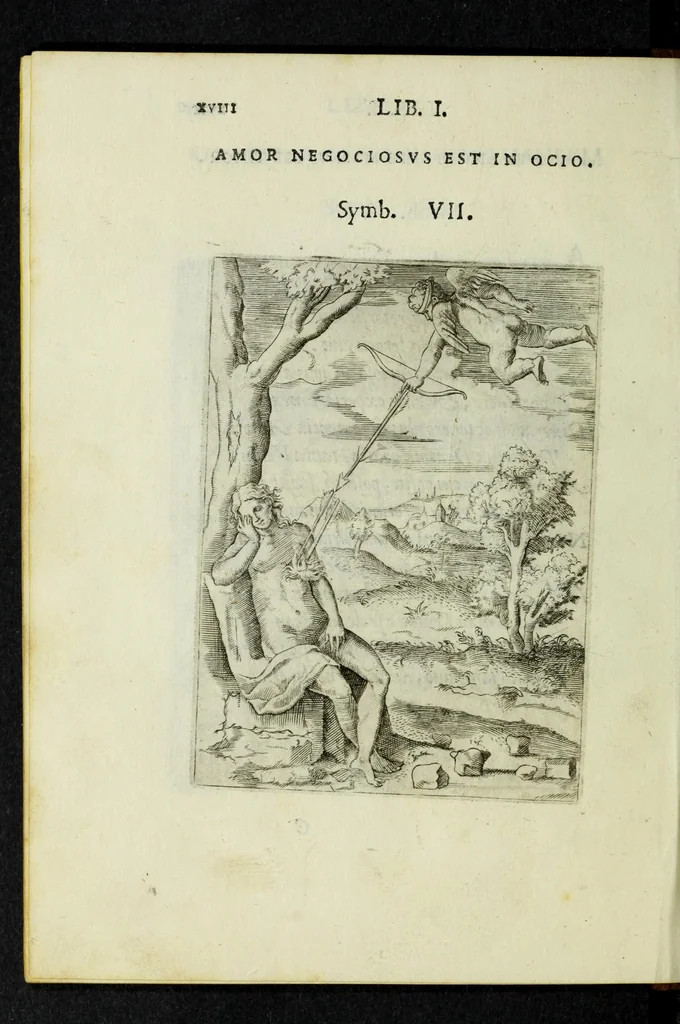 An illustration from Achillis Bocchii Bonon. Symbolicarvm qvaestionvm, de vniverso genere, quas serio ludebat, libri qvinqve, 1574, leaf 70