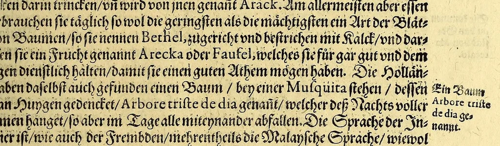 An illustration from Achter Theil der Orientalischen Indien, : begreiffend erstlich ein historische Beschreibung der Schiffart, so der Admiral Jacob von Neck auss Hollandt in die Orientalische Indien von Ann. 1600. biss An. 1603. gethan. Darnach ein historia, so von Johan Herman von Bree, Obersten Handelsmann auff dem Schiff der Hollandische Zaun genannt, in gleichmessiger Reyse von An. 1602. biss in An. 1604. auff gezeichnet worden., 1606, leaf 67