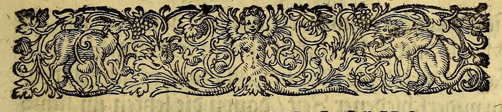 An illustration from Achte Schiffahrt. Kurtze Beschreibung, was sich mit dem Holländern vnd Seeländern, in dem Ost Indien, die nechst verlauffene vier oder fūnff Jahre, als Anno 1599. 1600. 1601. 1602. vnd 1603. zugetragen, : wie sie sich etlich mal mit den Portugesern vnd Hispaniern geschlagen, dauon etliche Schiff An. 1604. in Holland ankommen, vnd was darauff erfolgt., 1605, leaf 11