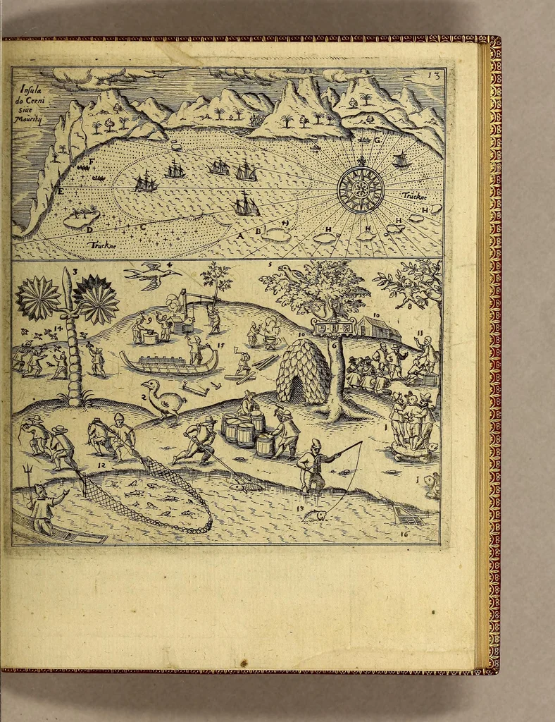 An illustration from Achte Schiffahrt oder Kurtze Beschreibung etlicher Reysen so die Holländer vnd Seeländer in die Ost Indien von Anno 1599. biss Anno 1604. gethan: : vnd was ihnen auff denselben begegnet., 1608, leaf 31