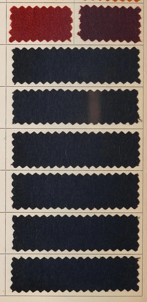 An illustration from Acid dyes for worsted piece-goods., leaf 42