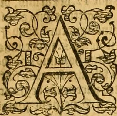An illustration from [A collection of entrees : of declarations, barres, replications, reioinders, issues, verdits, judgements, executions, proces, continuances, essoines and diuers other matters : newly amended and much enlarged with many good presidents of latter time ... : and first an epistle, with certaine instructions necessary to be read for the redy finding of the matters in this booke], 1596, leaf 10