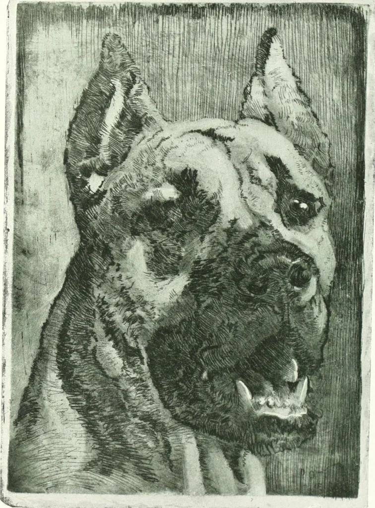 An illustration from Acquafortisti italiani; reccolta di acqueforti, acquetine, puntesecche, maniera nera, di 150 artisti. Acquafortistes italiens; recueil de eauxfortes, acqua-tintas, pointes-sèches, façon noire, de 150 artistes, 1922, leaf 120