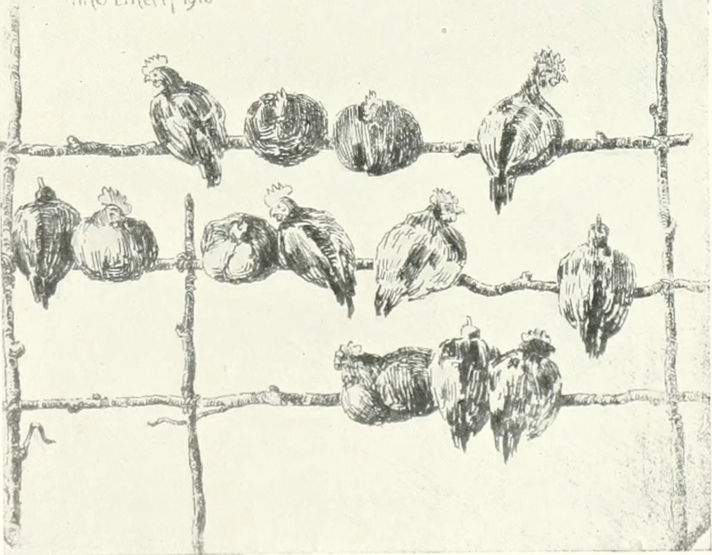 An illustration from Acquafortisti italiani; reccolta di acqueforti, acquetine, puntesecche, maniera nera, di 150 artisti. Acquafortistes italiens; recueil de eauxfortes, acqua-tintas, pointes-sèches, façon noire, de 150 artistes, 1922, leaf 126