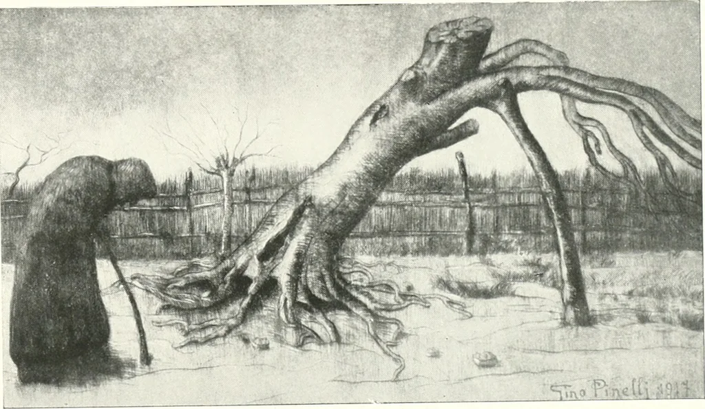 An illustration from Acquafortisti italiani; reccolta di acqueforti, acquetine, puntesecche, maniera nera, di 150 artisti. Acquafortistes italiens; recueil de eauxfortes, acqua-tintas, pointes-sèches, façon noire, de 150 artistes, 1922, leaf 128