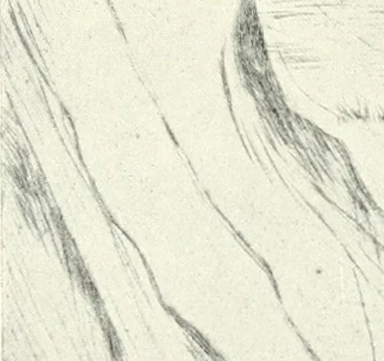 An illustration from Acquafortisti italiani; reccolta di acqueforti, acquetine, puntesecche, maniera nera, di 150 artisti. Acquafortistes italiens; recueil de eauxfortes, acqua-tintas, pointes-sèches, façon noire, de 150 artistes, 1922, leaf 224