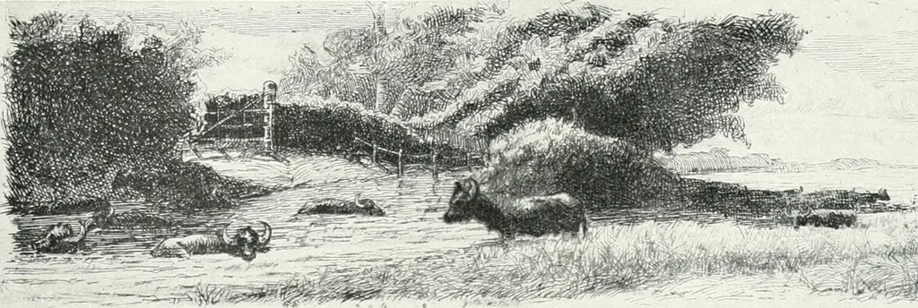 An illustration from Acquafortisti italiani; reccolta di acqueforti, acquetine, puntesecche, maniera nera, di 150 artisti. Acquafortistes italiens; recueil de eauxfortes, acqua-tintas, pointes-sèches, façon noire, de 150 artistes, 1922, leaf 266