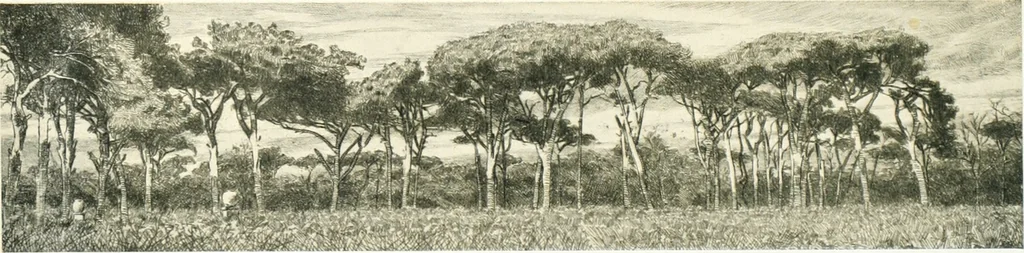 An illustration from Acquafortisti italiani; reccolta di acqueforti, acquetine, puntesecche, maniera nera, di 150 artisti. Acquafortistes italiens; recueil de eauxfortes, acqua-tintas, pointes-sèches, façon noire, de 150 artistes, 1922, leaf 266