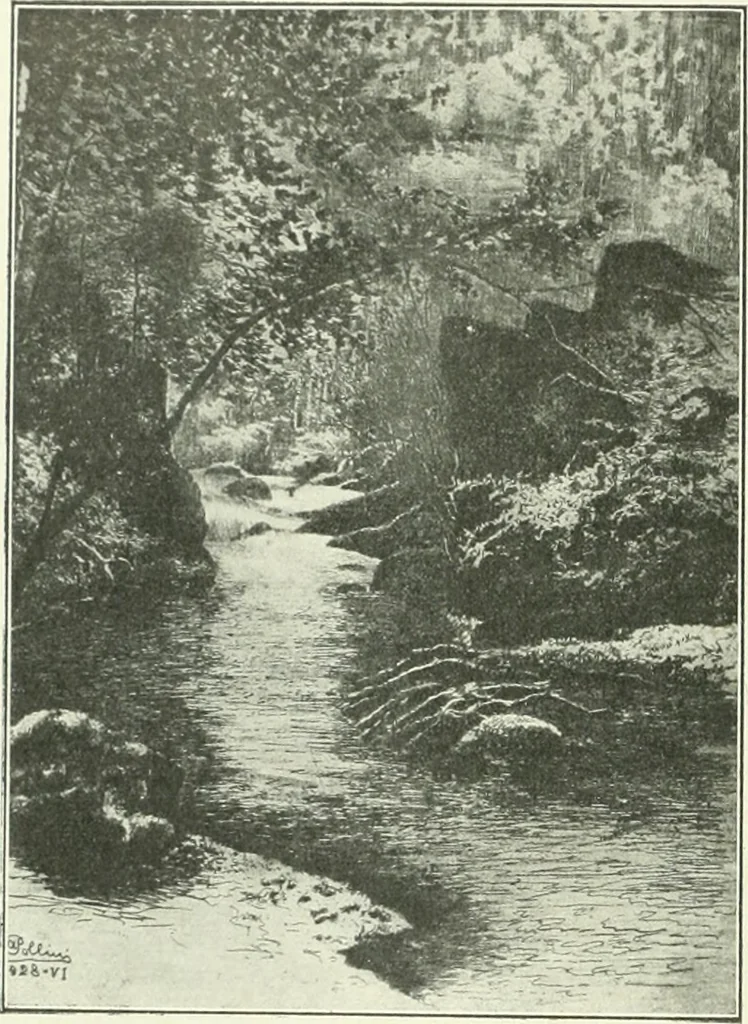 An illustration from Acquafortisti italiani; reccolta di acqueforti, acquetine, puntesecche, maniera nera, di 150 artisti. Acquafortistes italiens; recueil de eauxfortes, acqua-tintas, pointes-sèches, façon noire, de 150 artistes, 1922, leaf 319